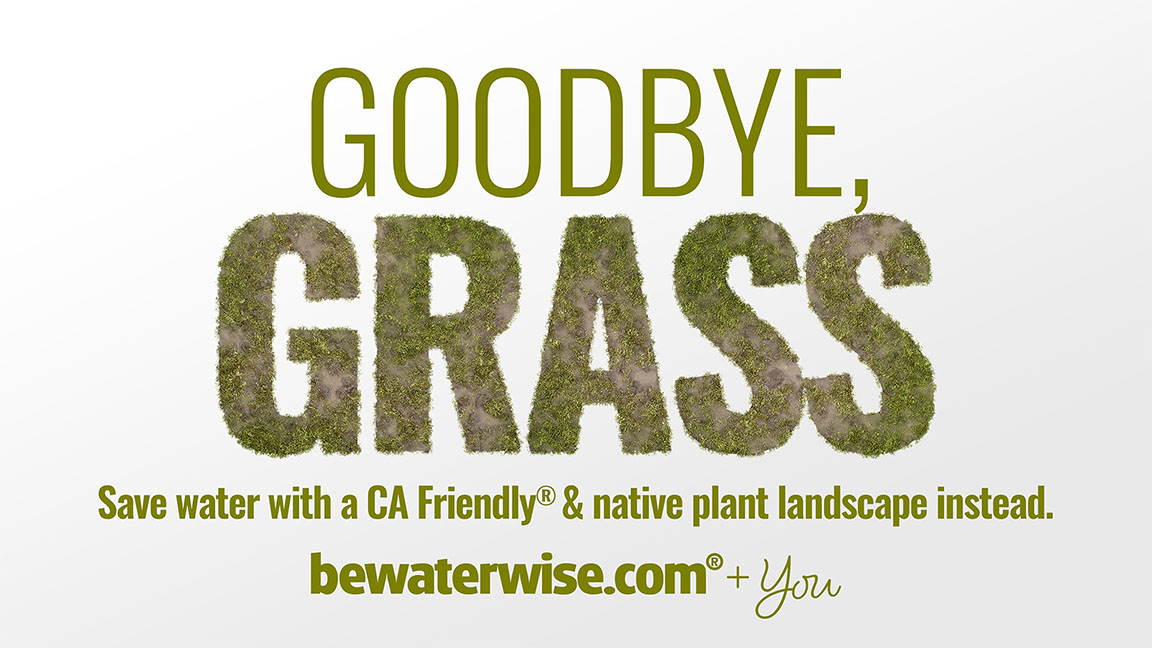 Goodbye, Grass