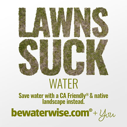 Lawns Suck Water