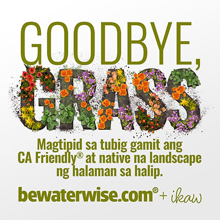 Goodbye, Grass