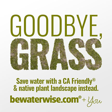 Goodbye, Grass