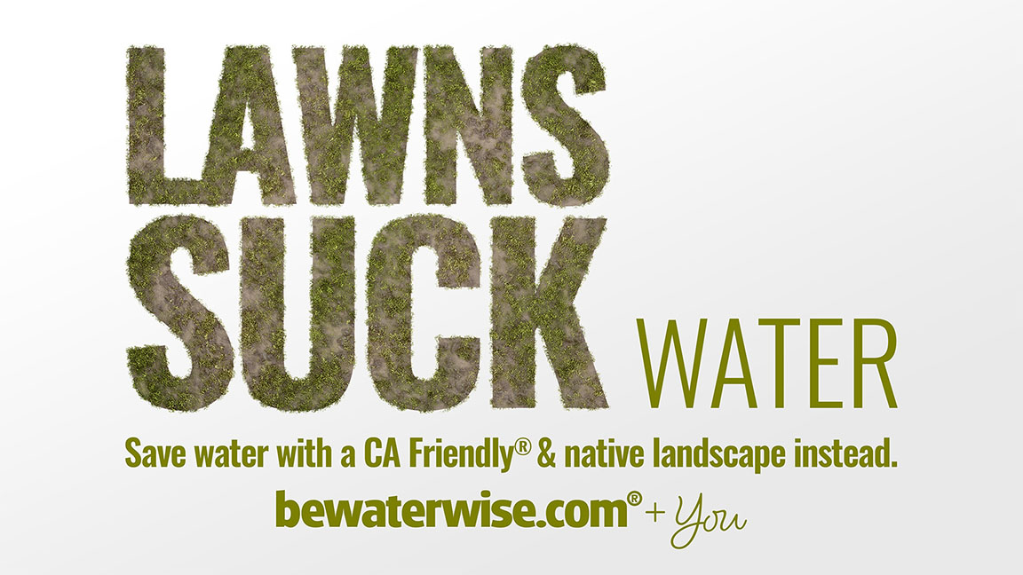 Lawns Suck Water